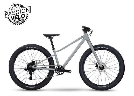 Twostroke AL 24 2023 – Image 2