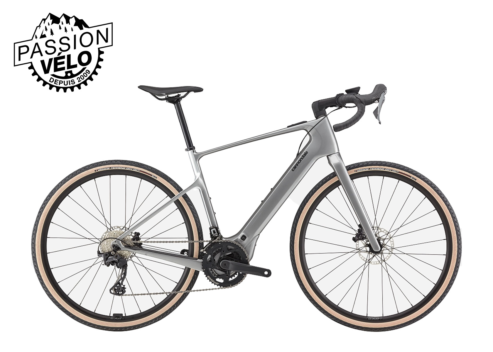 Synapse Neo Allroad 2 2025